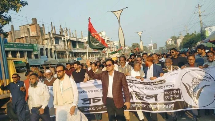 দেশ গড়তে ধানের শিষে ভোট চাইলেন নুরুজ্জামান লিটন